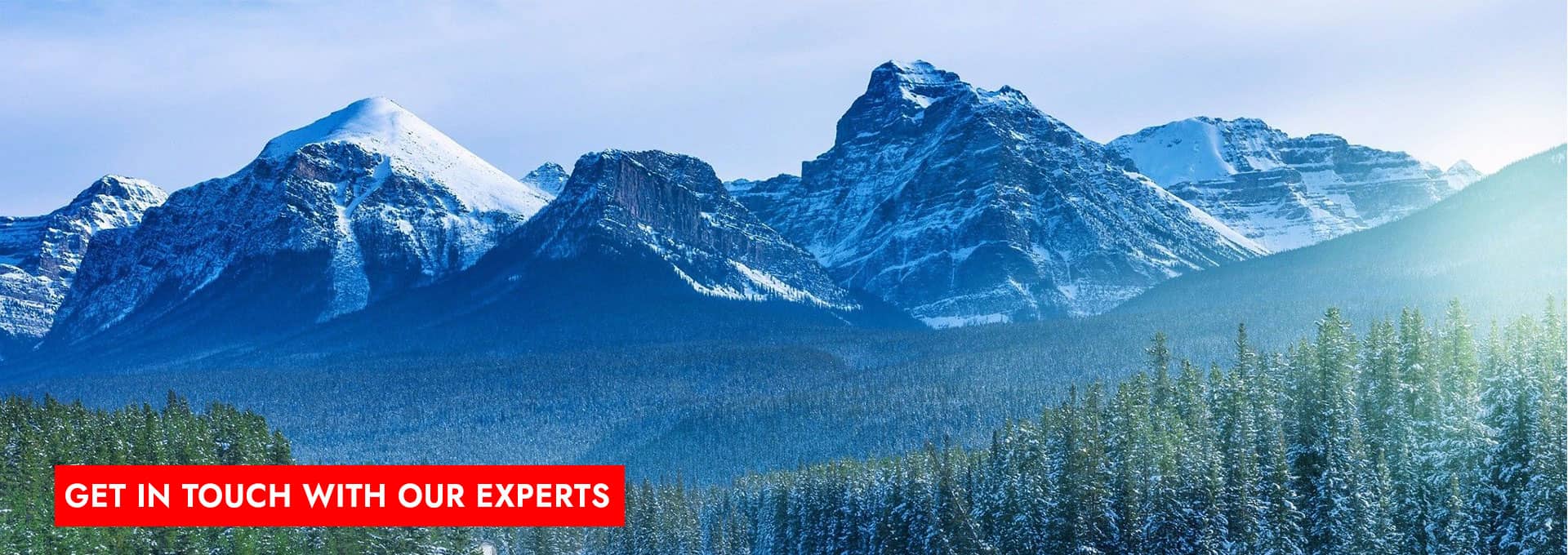 cancity-immigration-services-consultation